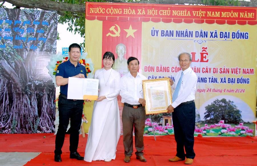 Quảng[-]Nam:Cây[-]Đa[-]nơi[-]trú[-]ẩn[-]của[-]quân[-]dân[-]qua[-]2[-]cuộc[-]kháng[-]chiến[-]được[-]công[-]nhận[-]Cây[-]Di[-]sản[-]Việt[-]Nam